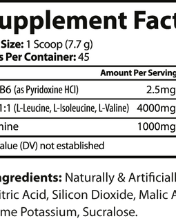 MAXX RECOVERY (Fruit Punch)